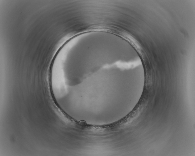 X0000110320907200906111450