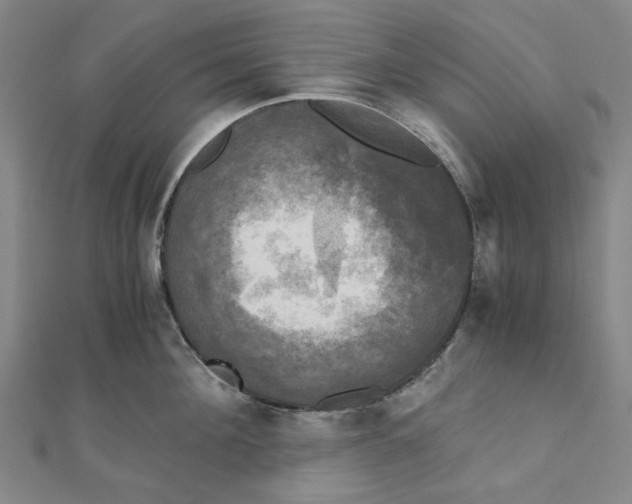 X0000110320908200906111450