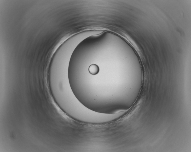 X0000110320909200906111450