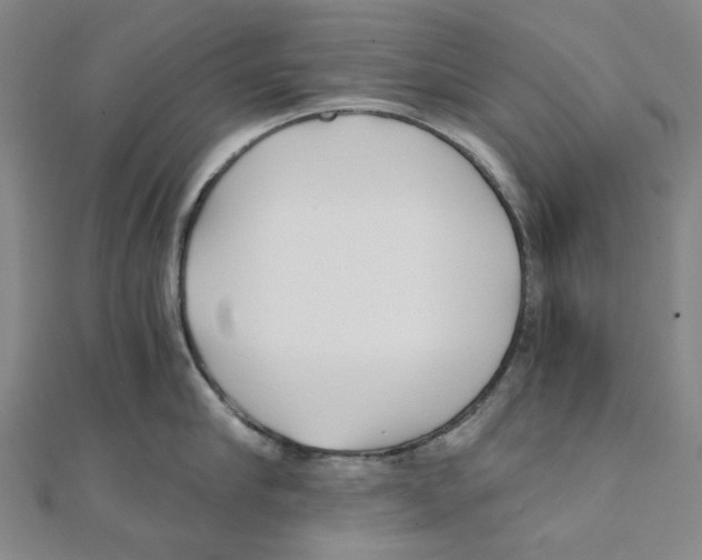 X0000110320910200906111450