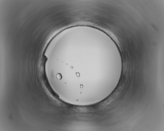 X0000110320911200906111450