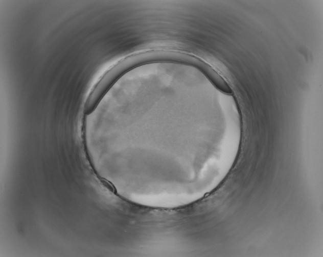 X0000110320912200906111450