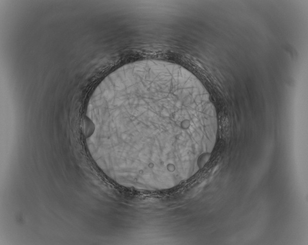 X0000110320913200906111449