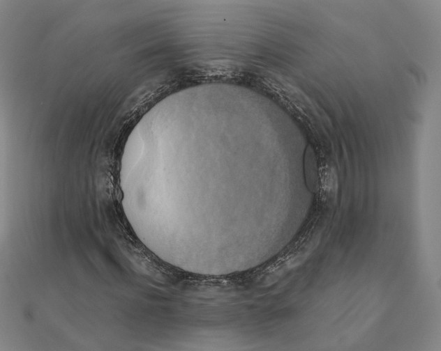 X0000110320916200906111449