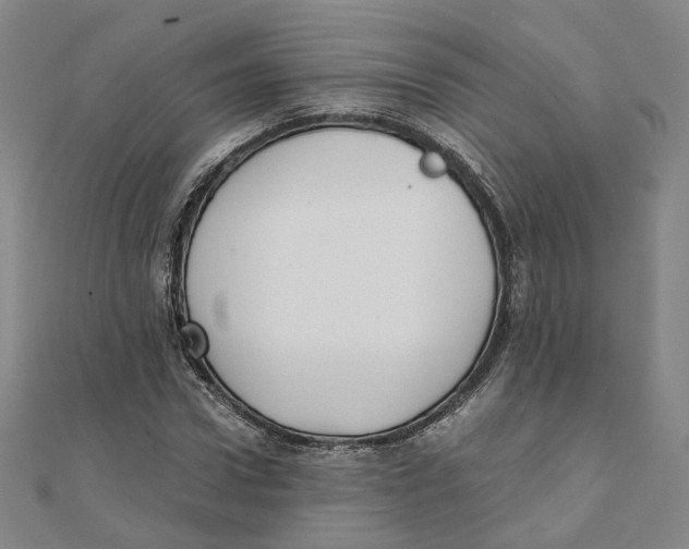 X0000110320922200906111449