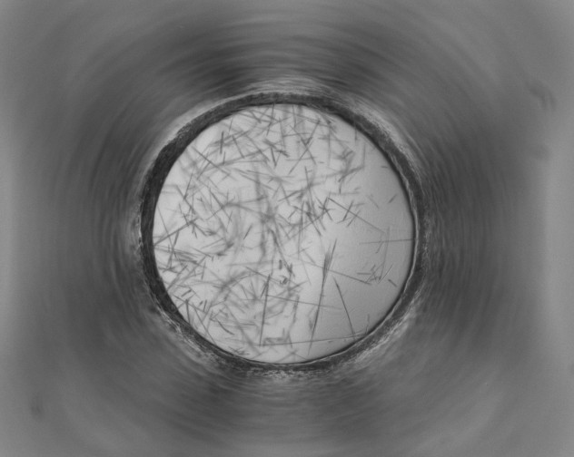 X0000110320923200906111449