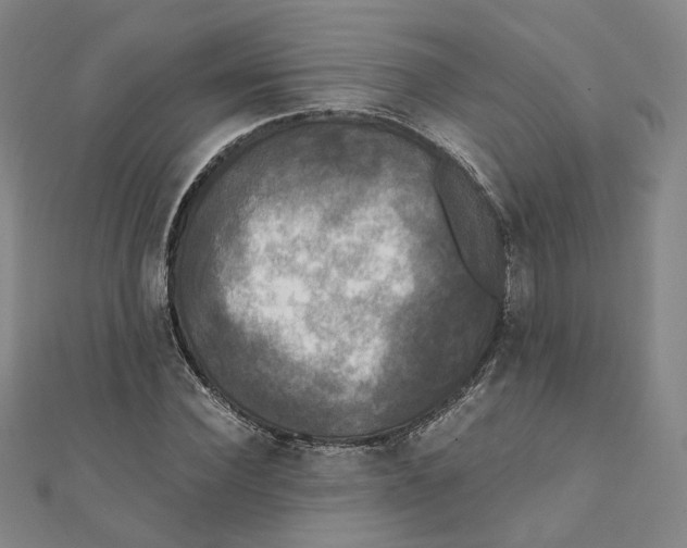 X0000110320924200906111449