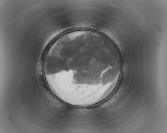 X0000110320925200906111449