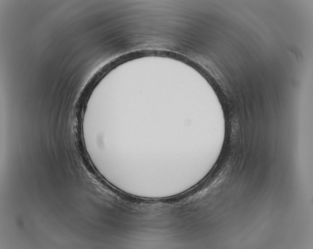 X0000110320926200906111449