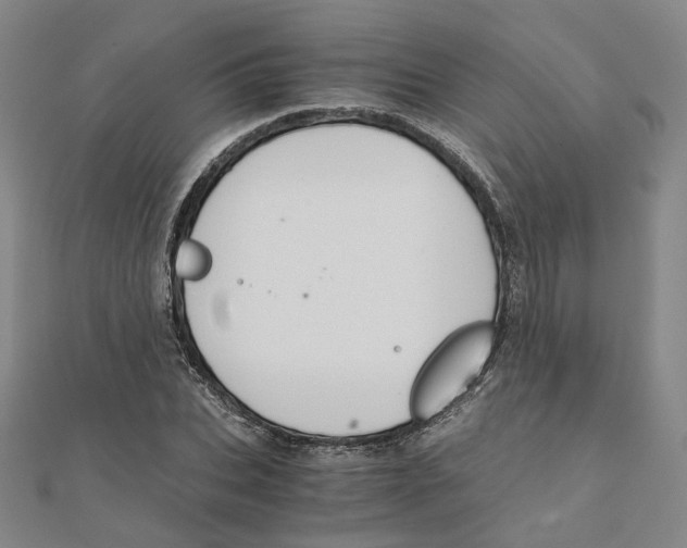 X0000110320927200906111449