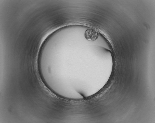 X0000110320928200906111449