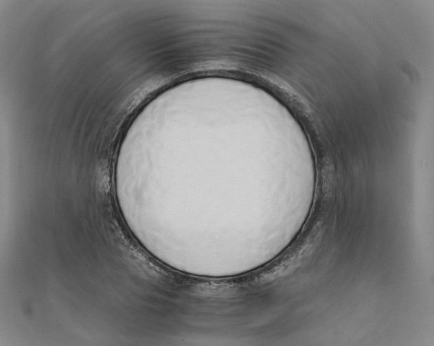 X0000110320929200906111449