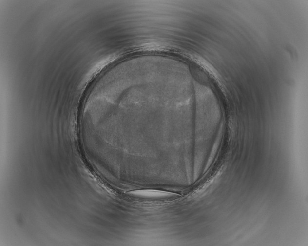 X0000110320930200906111449