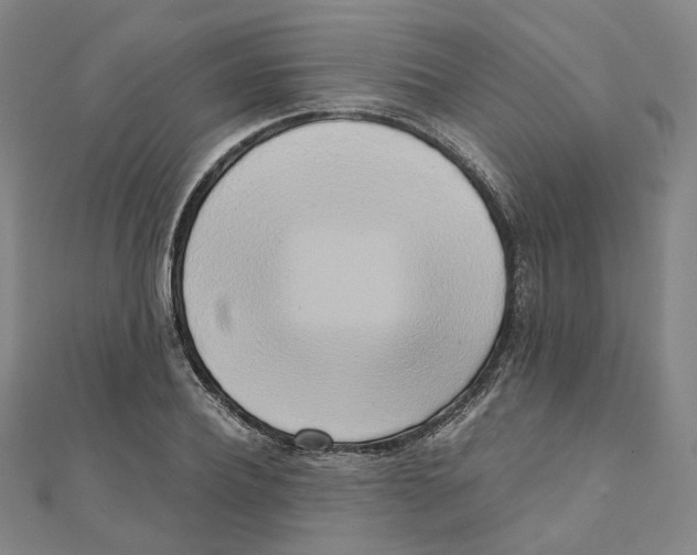 X0000110320932200906111449