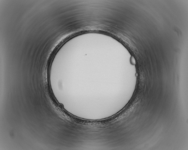 X0000110320934200906111449