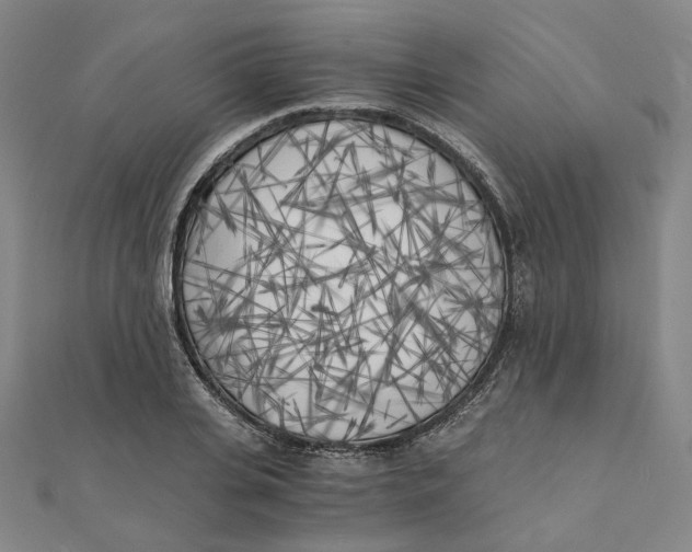 X0000110320935200906111449