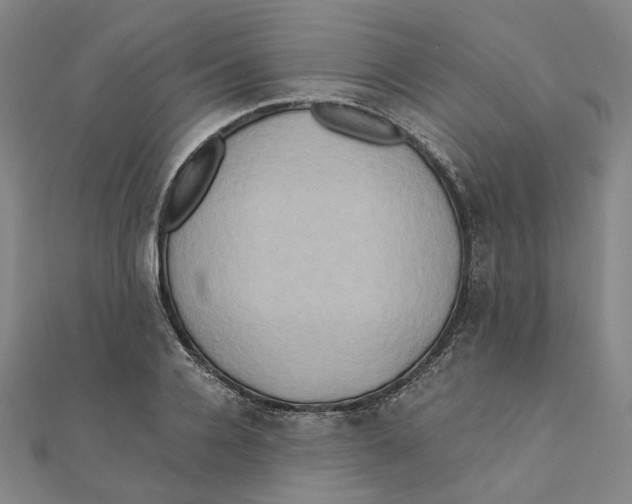 X0000110320936200906111449