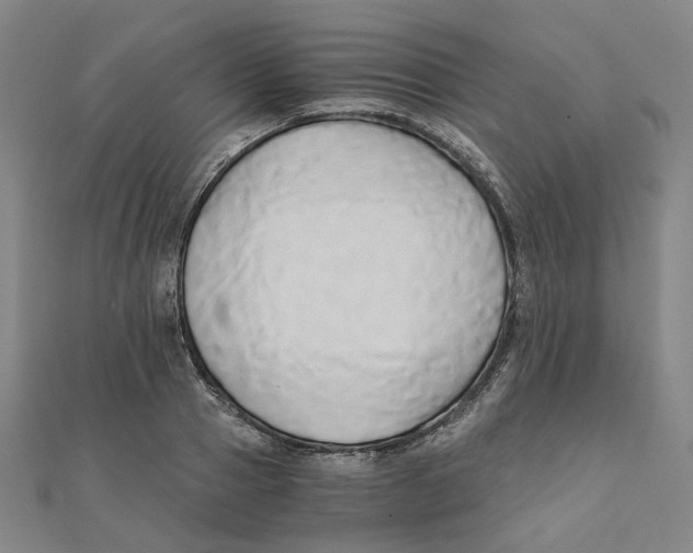 X0000110320937200906111449