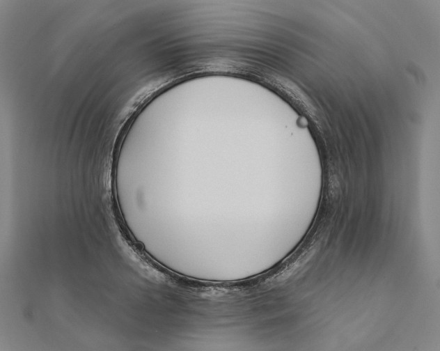 X0000110320938200906111449