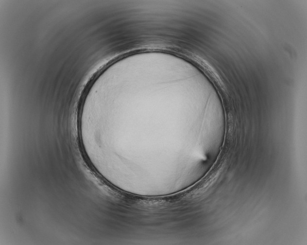 X0000110320939200906111449