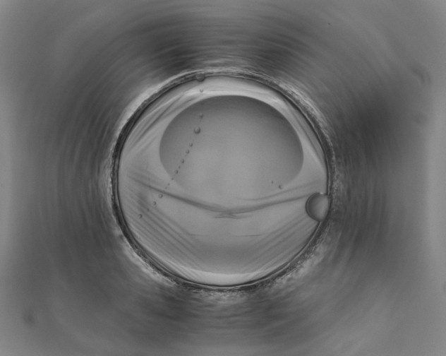 X0000110320941200906111450