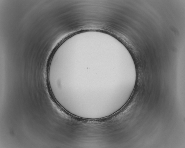 X0000110320942200906111450