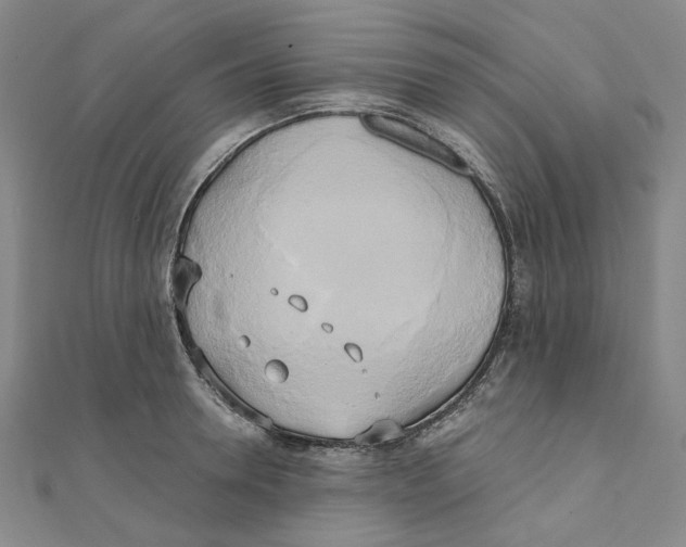 X0000110320946200906111450