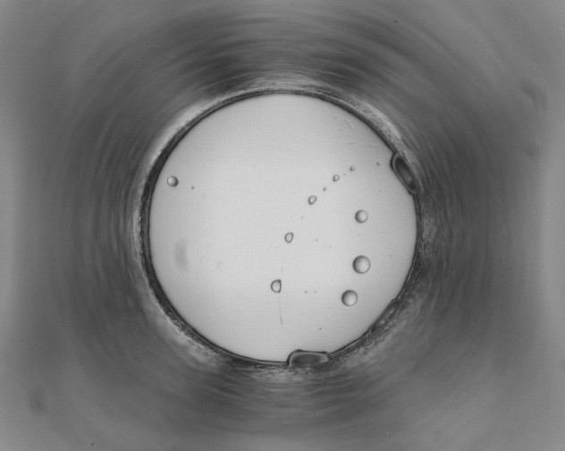 X0000110320947200906111450