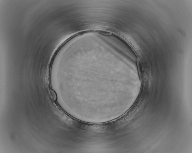 X0000110320948200906111450