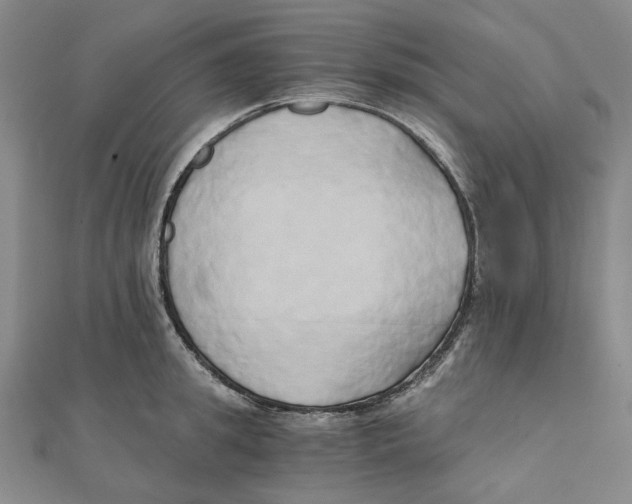 X0000110320949200906111450