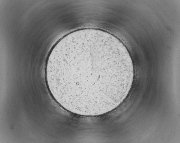 X0000110320950200906111450