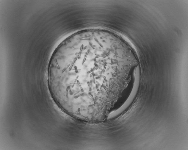 X0000110320951200906111450