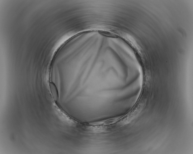 X0000110320952200906111450