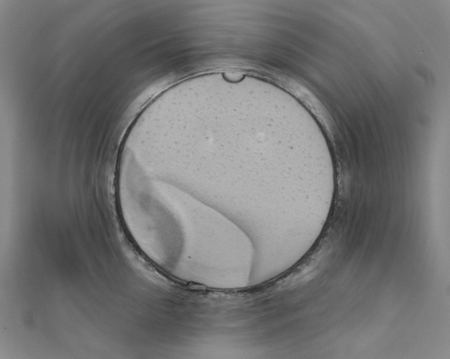 X0000110320954200906111450