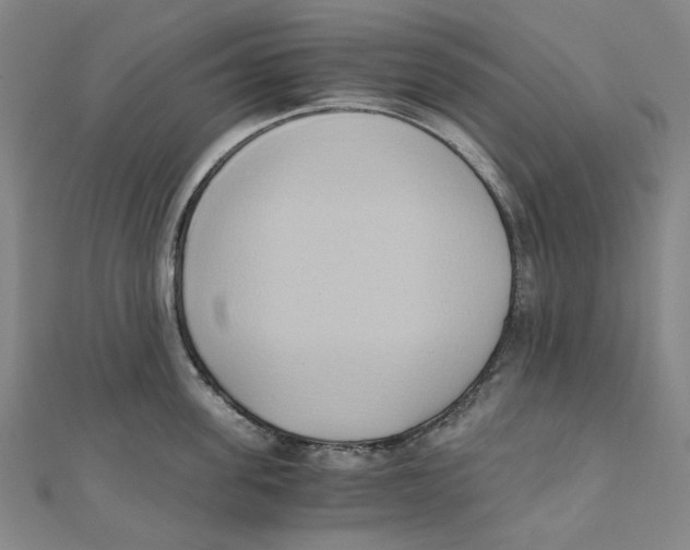 X0000110320955200906111450