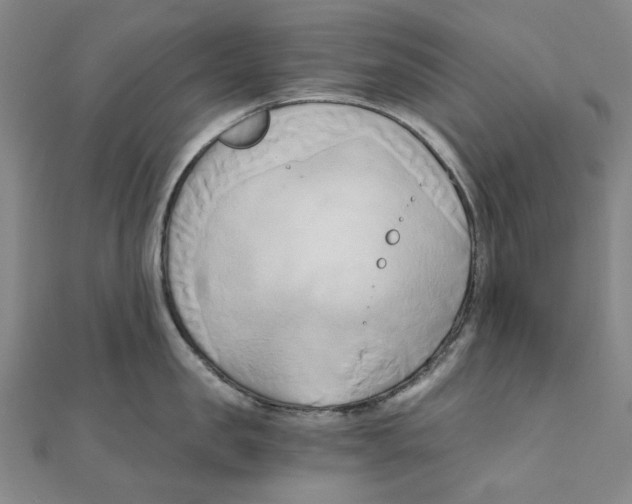 X0000110320957200906111450