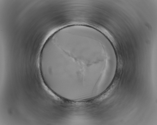 X0000110320958200906111450