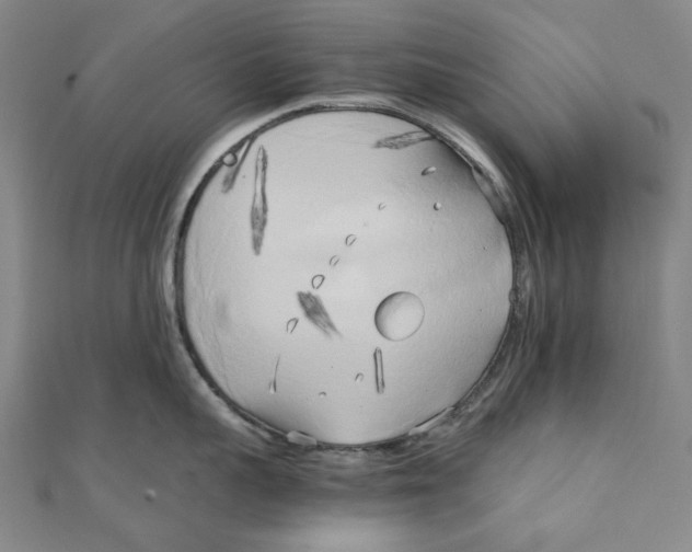 X0000110320959200906111450