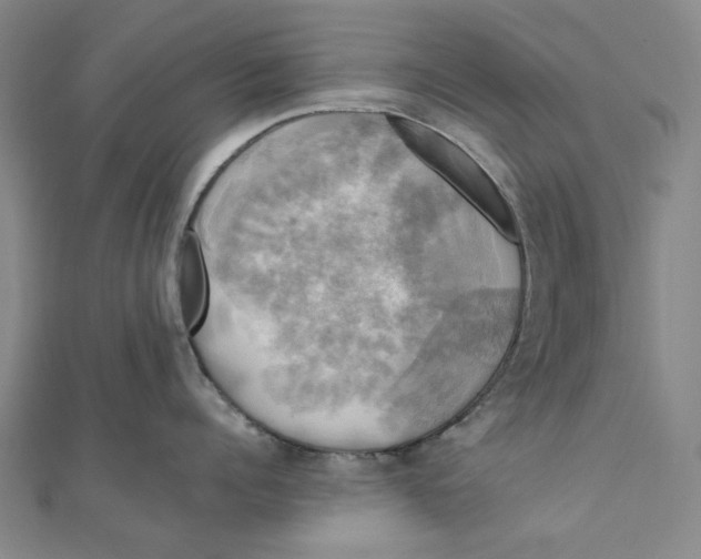 X0000110320960200906111450