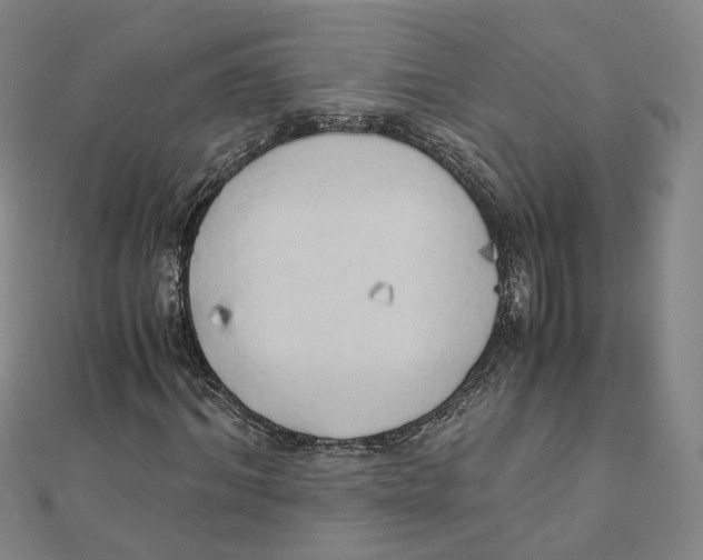 X0000110320964200906111449