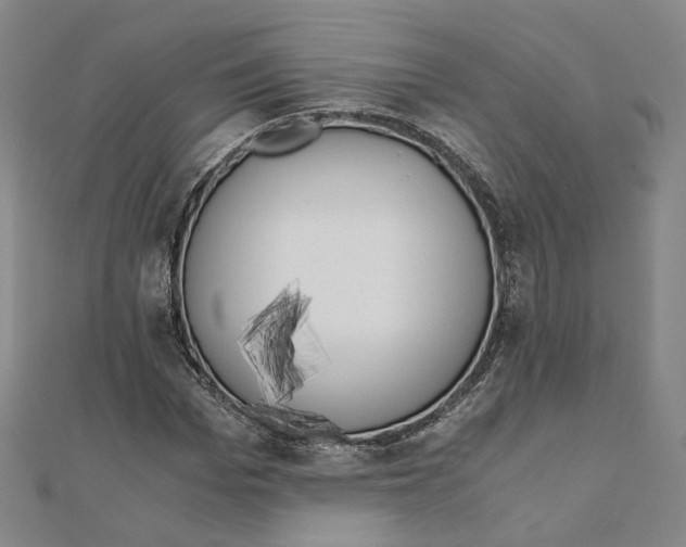 X0000110320969200906111449