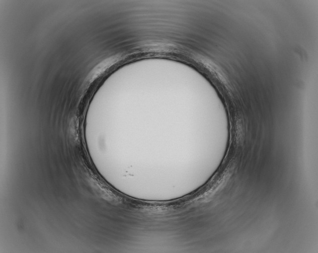 X0000110320970200906111449