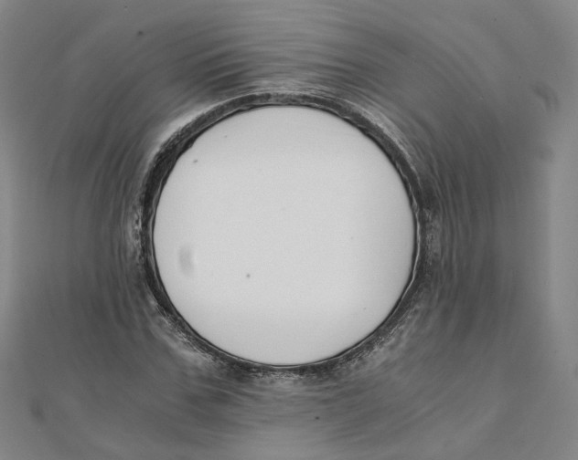 X0000110320971200906111449