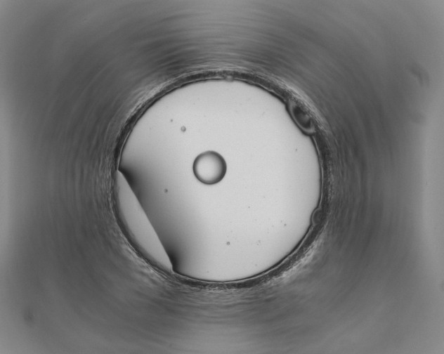 X0000110320977200906111449