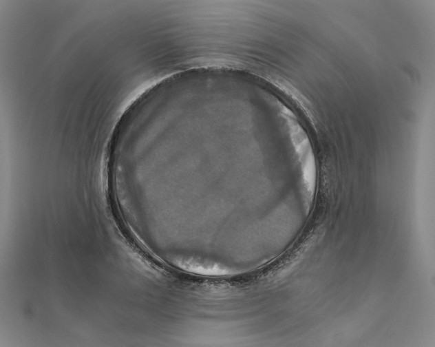 X0000110320983200906111449