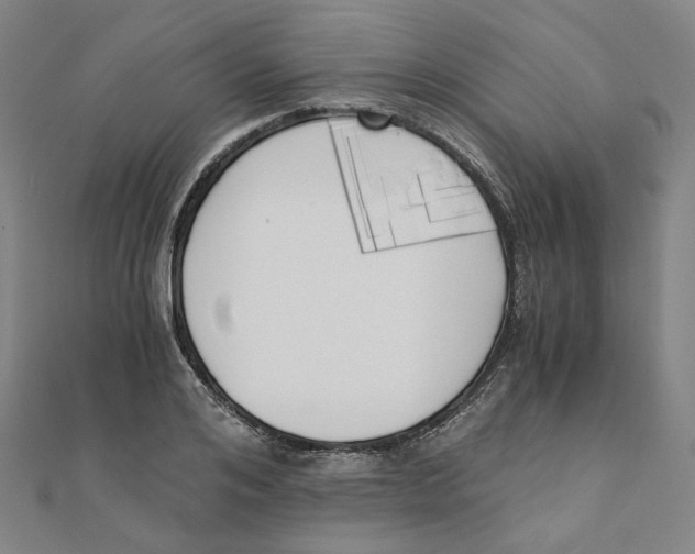 X0000110320984200906111449