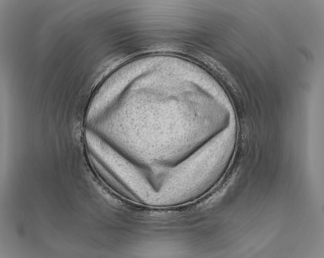 X0000110320985200906111449