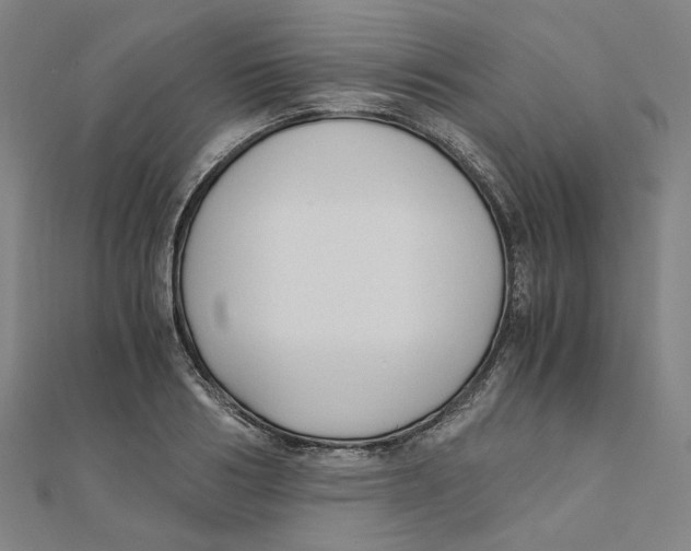 X0000110320986200906111449