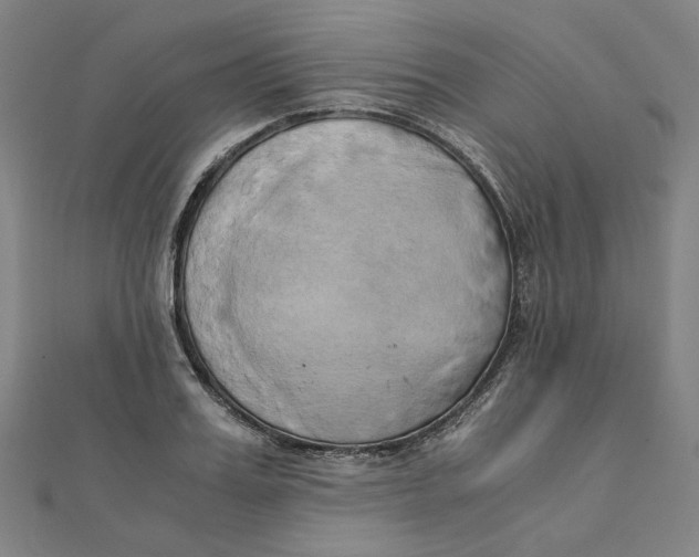 X0000110320987200906111449