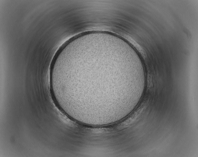 X0000110320988200906111449